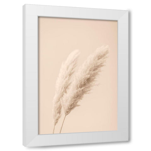 Pampas Grass Begie 15 White Modern Wood Framed Art Print by 1x Studio III
