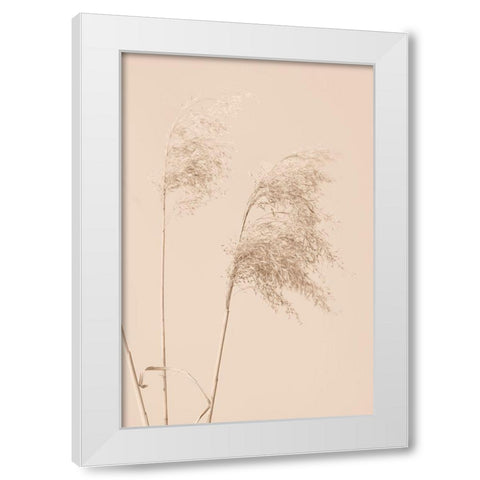 Reed Grass Begie 01 White Modern Wood Framed Art Print by 1x Studio III