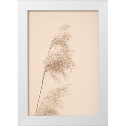 Reed Grass Beige 03 White Modern Wood Framed Art Print by 1x Studio III