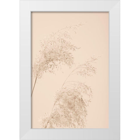 Reed Grass Beige 06 White Modern Wood Framed Art Print by 1x Studio III