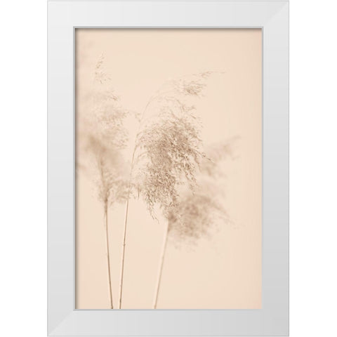 Reed Grass Beige 09 White Modern Wood Framed Art Print by 1x Studio III