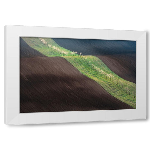 From Left To Right White Modern Wood Framed Art Print by Kovar, Petr