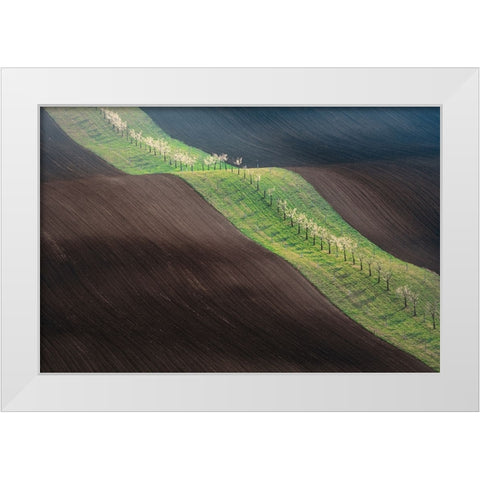 From Left To Right White Modern Wood Framed Art Print by Kovar, Petr