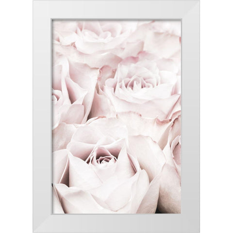 Pink Roses No 04 White Modern Wood Framed Art Print by 1x Studio III