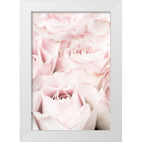 Pink Roses 05 White Modern Wood Framed Art Print by 1x Studio III