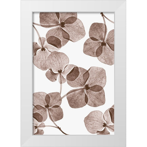 Botanical 4 White Modern Wood Framed Art Print by Lenka