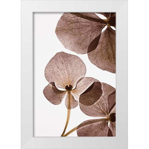 Botanical 5 White Modern Wood Framed Art Print by Lenka
