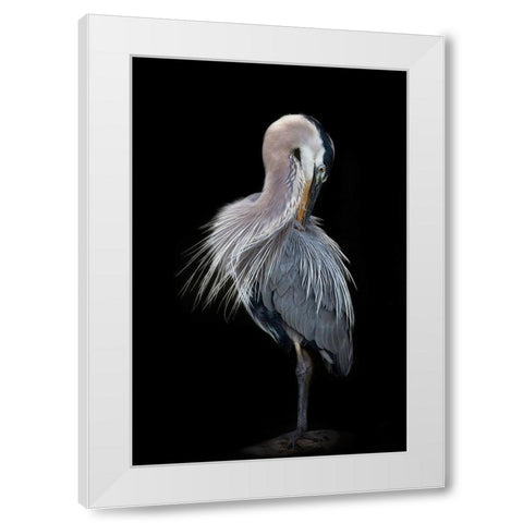 The Elegant Great Blue Heron White Modern Wood Framed Art Print by D Lester, Linda
