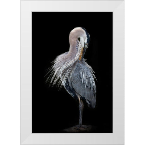 The Elegant Great Blue Heron White Modern Wood Framed Art Print by D Lester, Linda