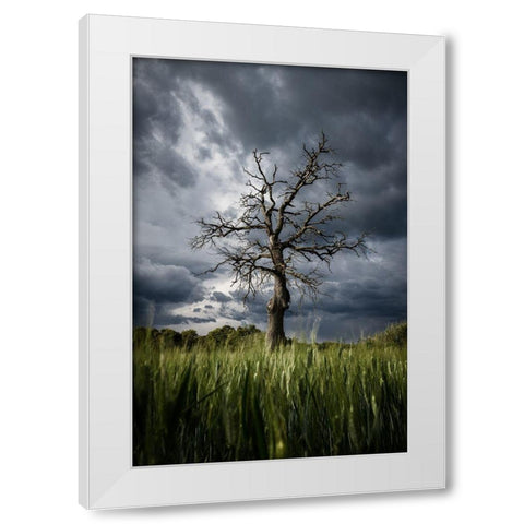 Stormy Weather White Modern Wood Framed Art Print by Anton, Rostovskiy