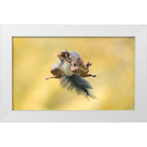 Ninja Style White Modern Wood Framed Art Print by Colemont, Niki