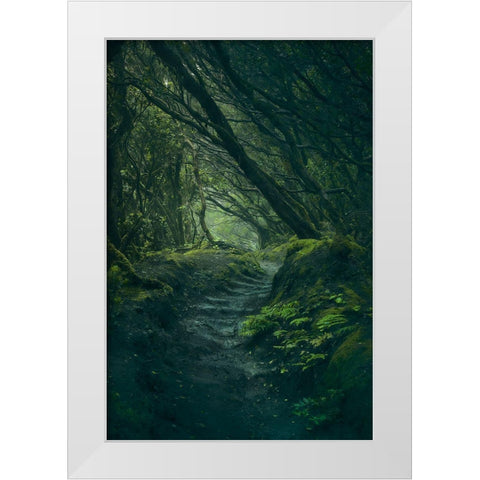 Entering Fangorn White Modern Wood Framed Art Print by De La, Javier