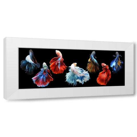 Betta Fish White Modern Wood Framed Art Print by Priyadi, Andri