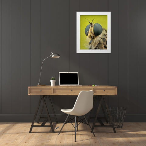 Robberfly White Modern Wood Framed Art Print by Figueras Barranco, Antoni