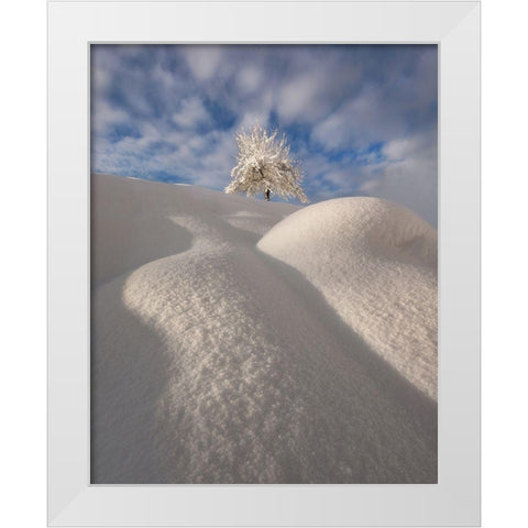 Curves Of A Winter Landscape White Modern Wood Framed Art Print by Krivec, Ales