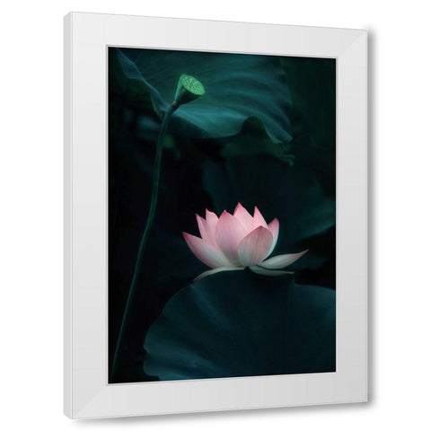 Lotus Flower White Modern Wood Framed Art Print by W., Catherine