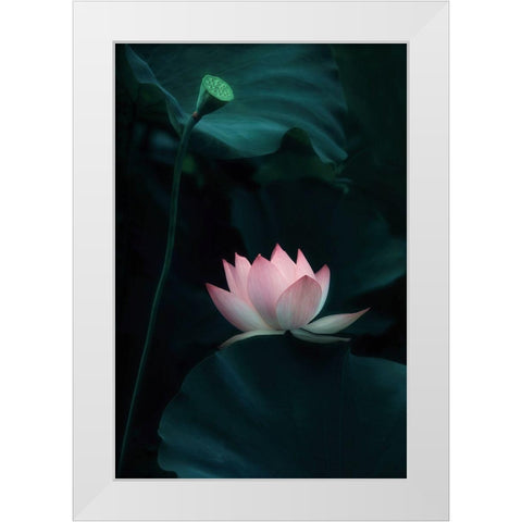 Lotus Flower White Modern Wood Framed Art Print by W., Catherine