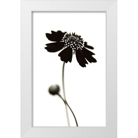 Once I Was A Black. White Modern Wood Framed Art Print by Salem, Saad