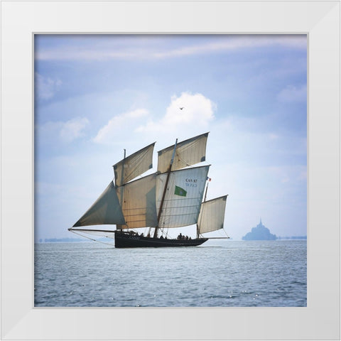 Boat-Bird And Mount White Modern Wood Framed Art Print by Demoulin, Vincent