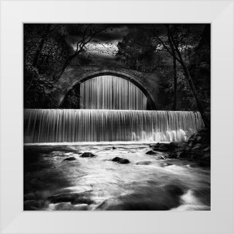 Untitled Xix White Modern Wood Framed Art Print by Digalakis, George