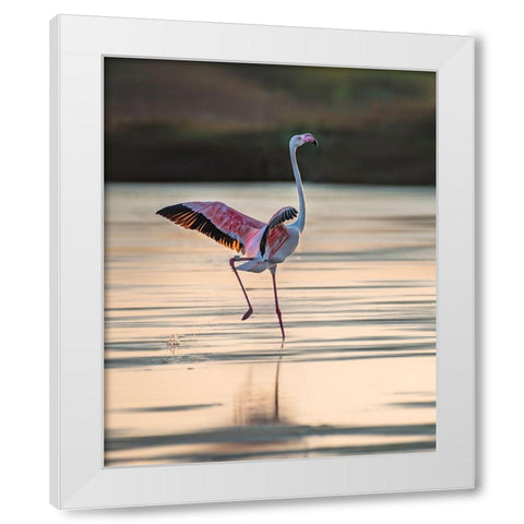 Dance Time White Modern Wood Framed Art Print by Telhami, Isam