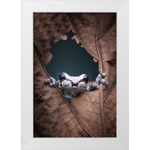 hello... White Modern Wood Framed Art Print by Widyantini, Rini