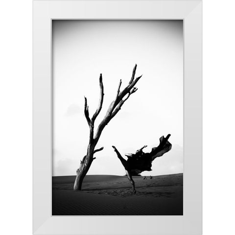 Contrast White Modern Wood Framed Art Print by Abu, Dekel