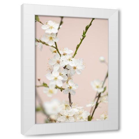 Cherry Tree Flowers White Modern Wood Framed Art Print by 1x Studio III