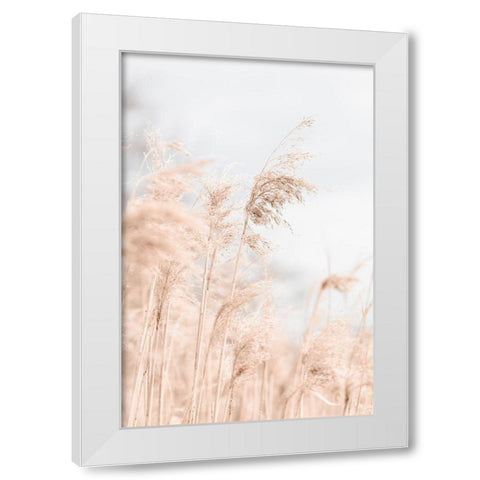 Grass Reed and sky_1 White Modern Wood Framed Art Print by 1x Studio III