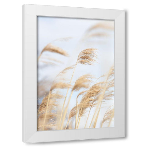 Grass Reed and sky_2 White Modern Wood Framed Art Print by 1x Studio III