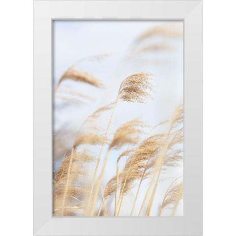 Grass Reed and sky_2 White Modern Wood Framed Art Print by 1x Studio III