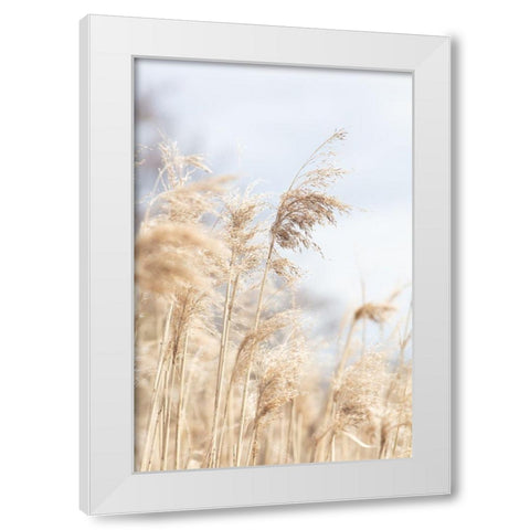 Grass Reed And Sky_3 White Modern Wood Framed Art Print by 1x Studio III