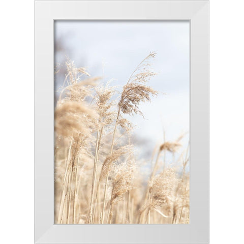 Grass Reed And Sky_3 White Modern Wood Framed Art Print by 1x Studio III