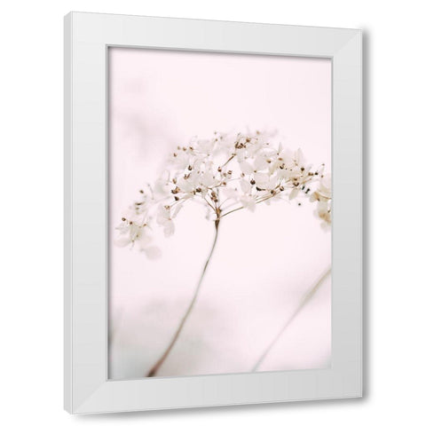 Soft dried flower_pink White Modern Wood Framed Art Print by 1x Studio III