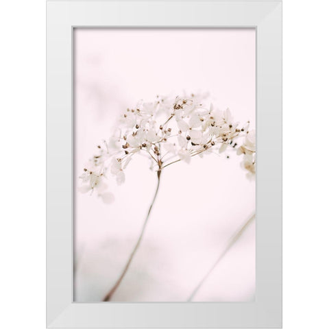 Soft dried flower_pink White Modern Wood Framed Art Print by 1x Studio III