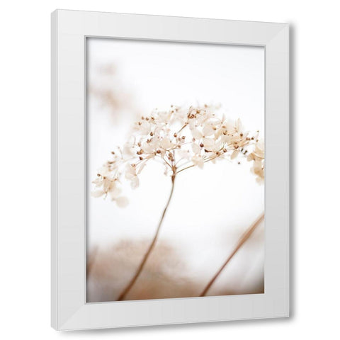 Soft Dried Flower_Brown White Modern Wood Framed Art Print by 1x Studio III
