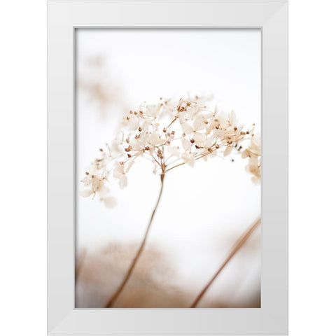 Soft Dried Flower_Brown White Modern Wood Framed Art Print by 1x Studio III