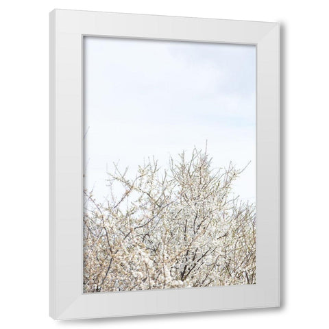 Cherry tree_1 White Modern Wood Framed Art Print by 1x Studio III