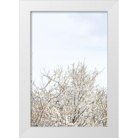 Cherry tree_1 White Modern Wood Framed Art Print by 1x Studio III