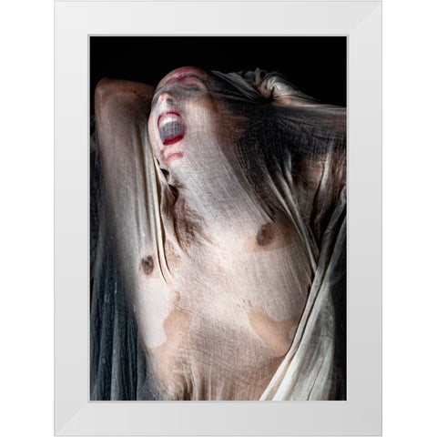 Screamer White Modern Wood Framed Art Print by Dixon, Colin