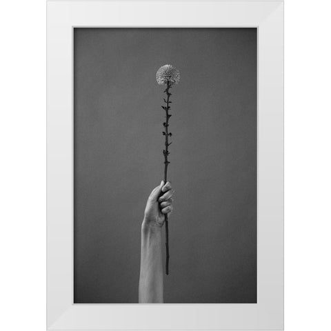 Golden-Daisy White Modern Wood Framed Art Print by Frolova, Antonida