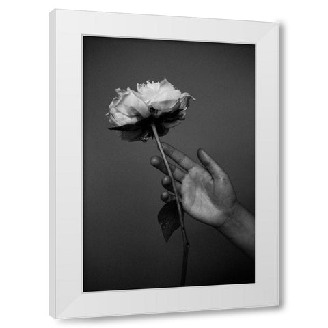 Peony White Modern Wood Framed Art Print by Frolova, Antonida
