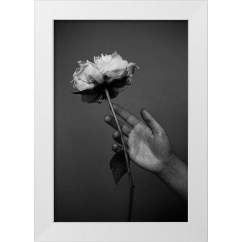 Peony White Modern Wood Framed Art Print by Frolova, Antonida