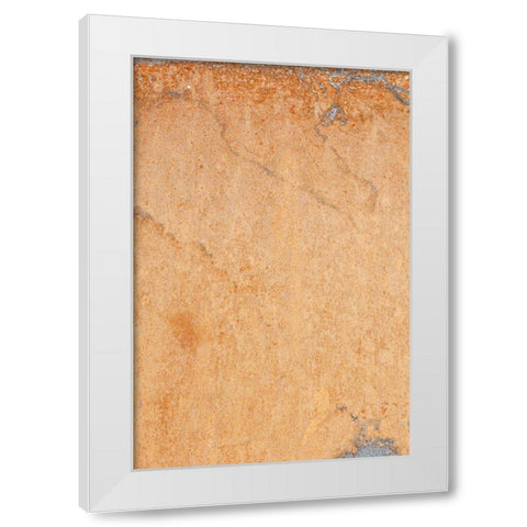 Orange wall White Modern Wood Framed Art Print by 1x Studio III