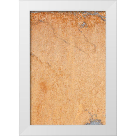 Orange wall White Modern Wood Framed Art Print by 1x Studio III