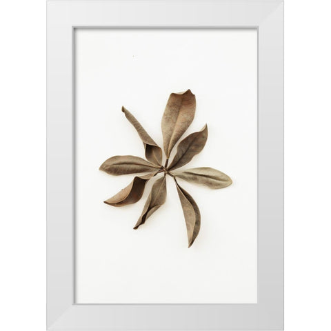 Dried Leaves_3 White Modern Wood Framed Art Print by 1x Studio III