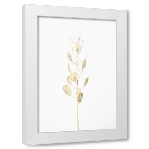 Solitary dried plant_light grey White Modern Wood Framed Art Print by 1x Studio III