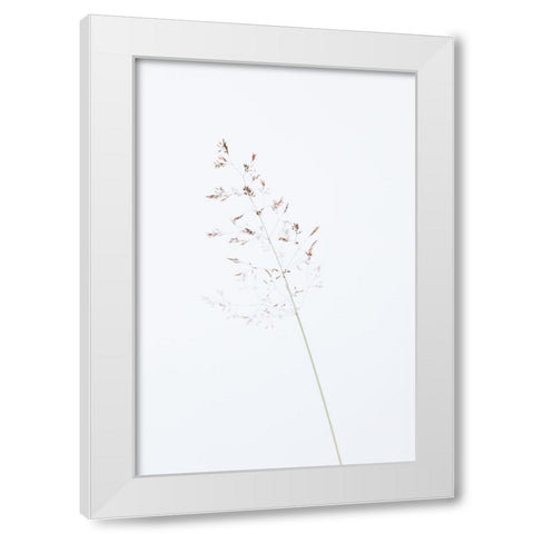 Single dried grass straw White Modern Wood Framed Art Print by 1x Studio III