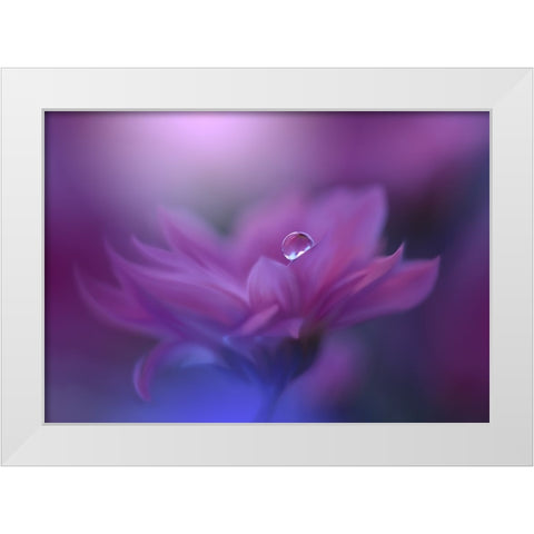 Without Form, Without Limit.. White Modern Wood Framed Art Print by Nan, Juliana