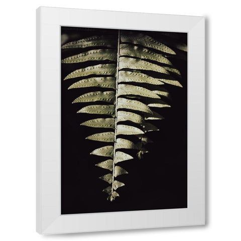 Fern Leaf White Modern Wood Framed Art Print by 1x Studio III